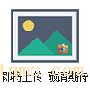 水泥幹(gān)篩